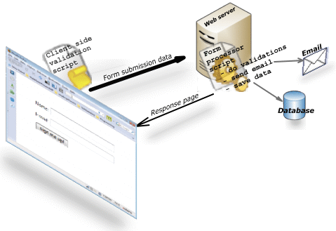 The working of a web form